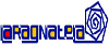 LaRagnatela.com - Il Web a portata di clic