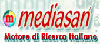 Mediasan Online, Motore di Ricerca Italiano